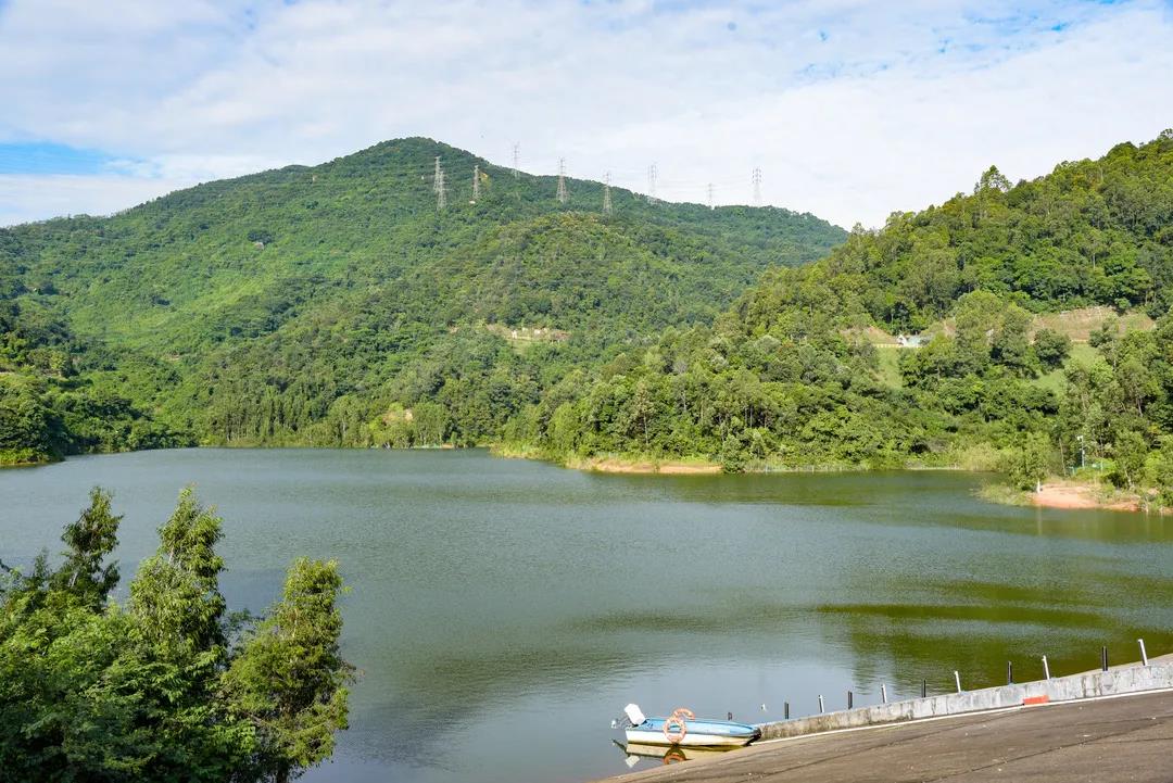 最新陈阳山，自然美景与人文价值的融合