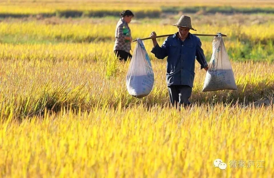 今日网名最新趋势，探索新潮、个性鲜明的网络身份标识