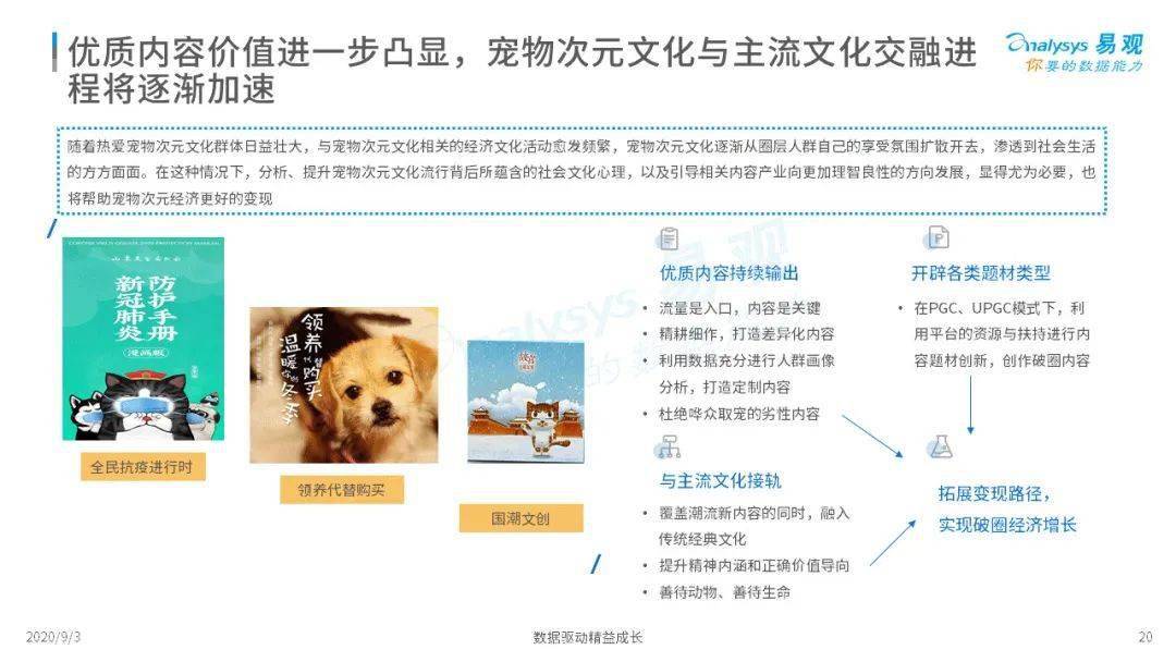 陷宠最新，深度解读现代宠物文化的新趋势与变迁