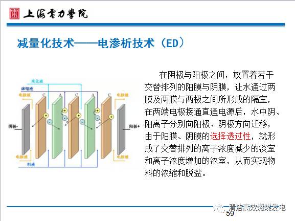 火，最新研究进展及其影响