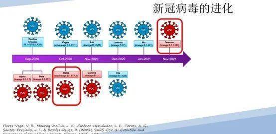 病毒来源最新研究分析