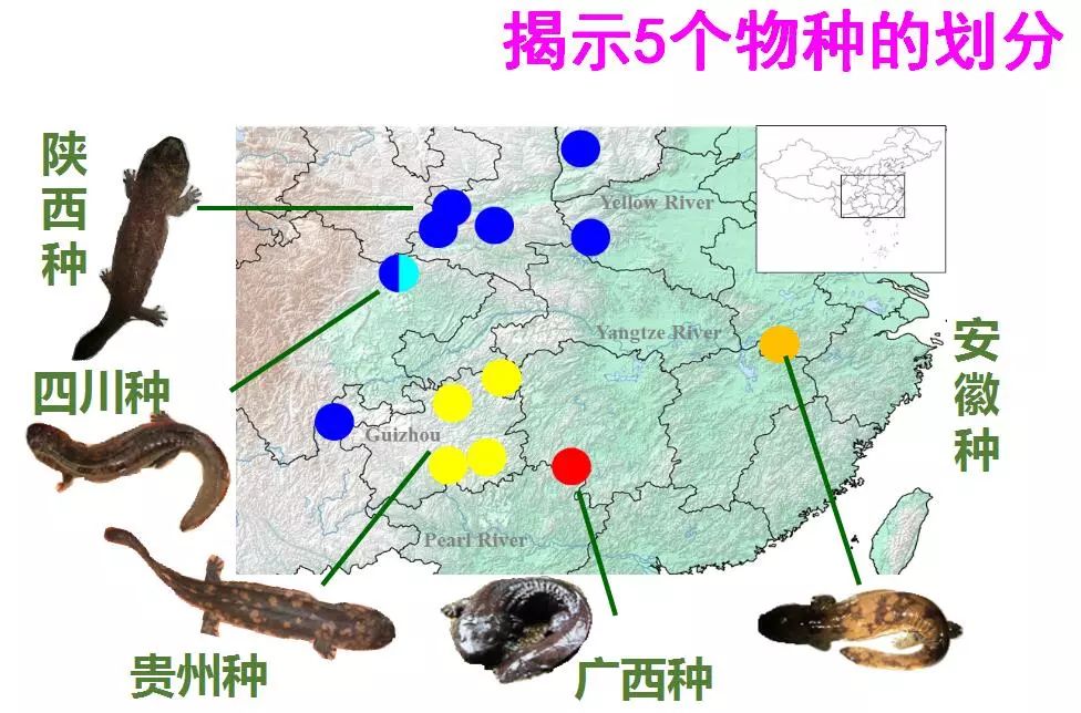 最新研究揭示臭氧的奥秘与挑战